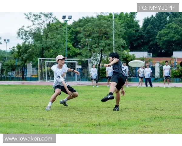 飞盘战术解析：深入探讨成都飞盘队的防守策略与技巧
