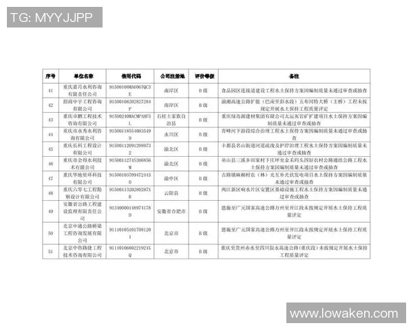 重庆飞盘队比赛经验分析与表现评估的综合研究报告